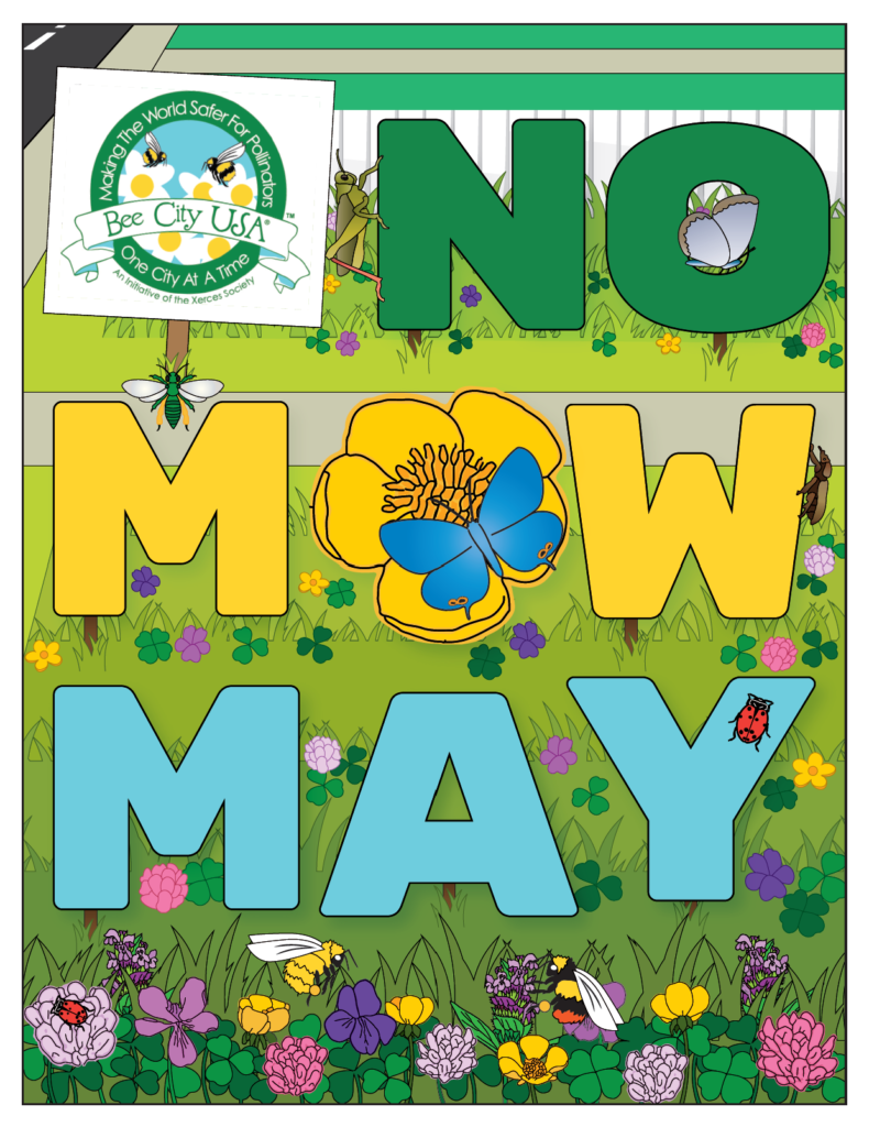 infographic No Mow May, select for more info