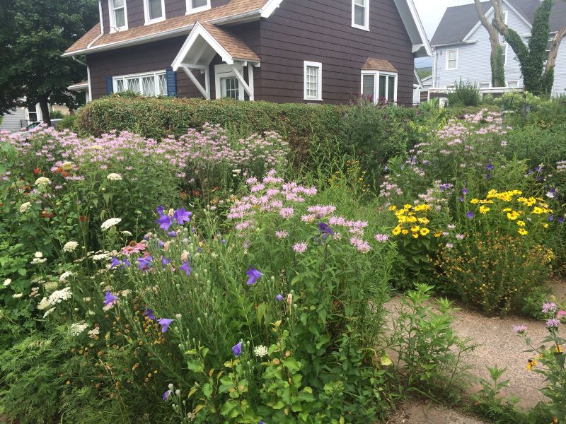 A garden with pink, purple and yellow flowers in front of a brown house.