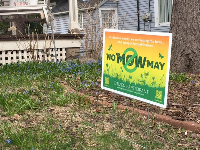 Lawn with orange, yellow and green "No Mow May" yard sign