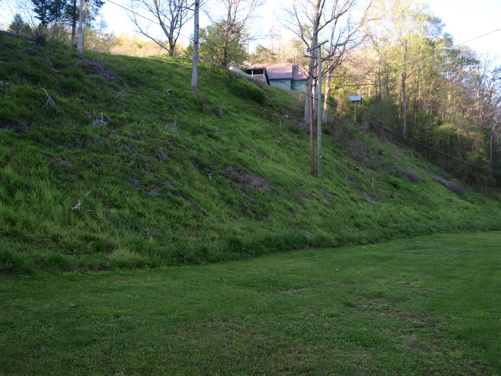 Green slope with no visible kudzu vines 