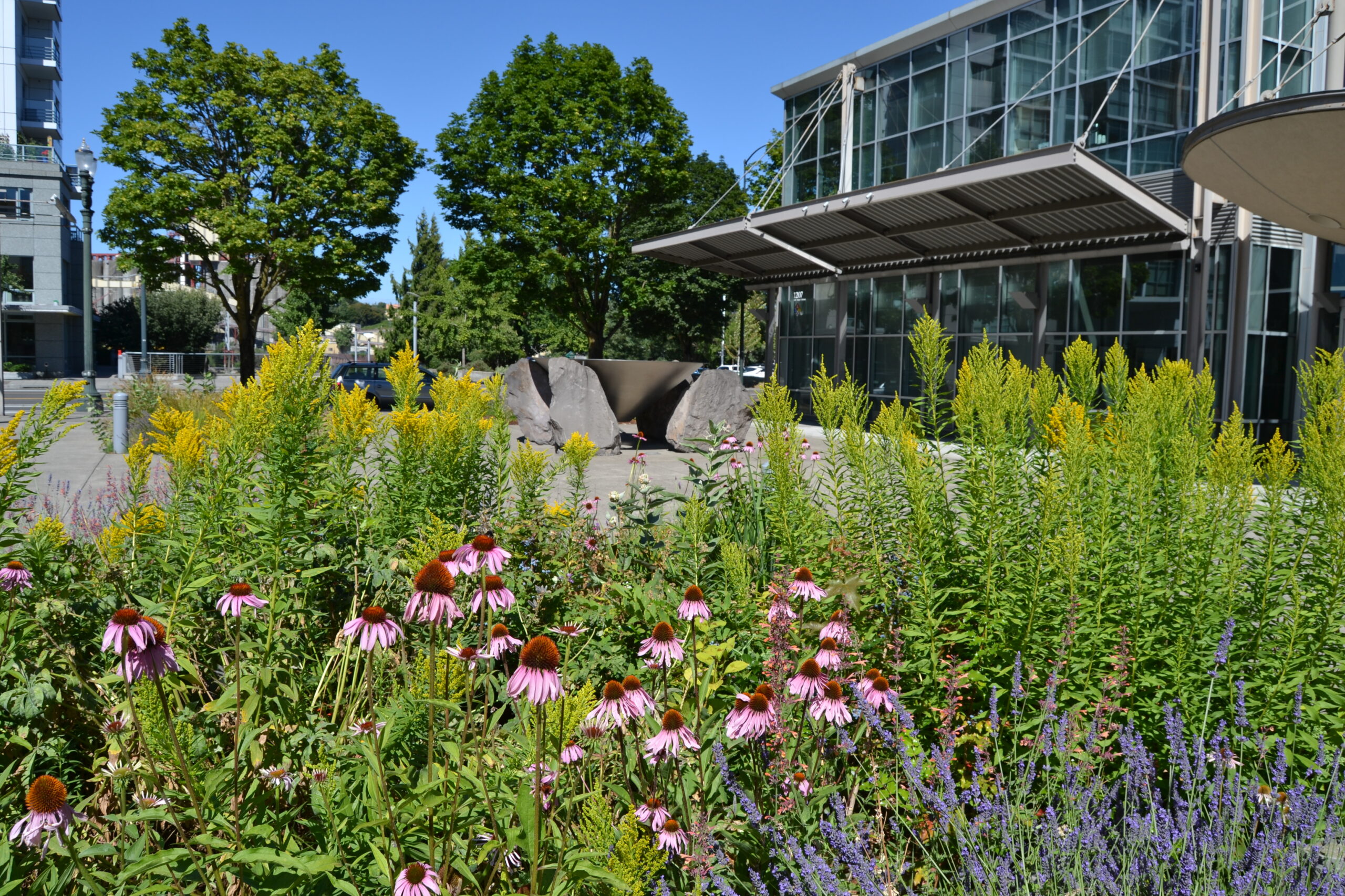 Purple and yellow flowers blooming in front of a large building with an awning.