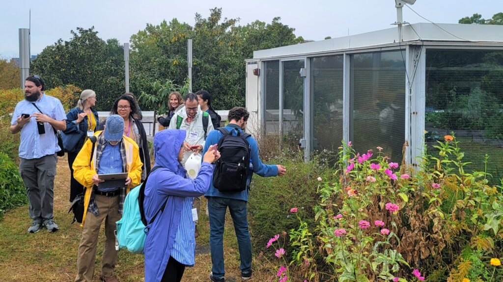 People in rain gear looking at pollinator habitat