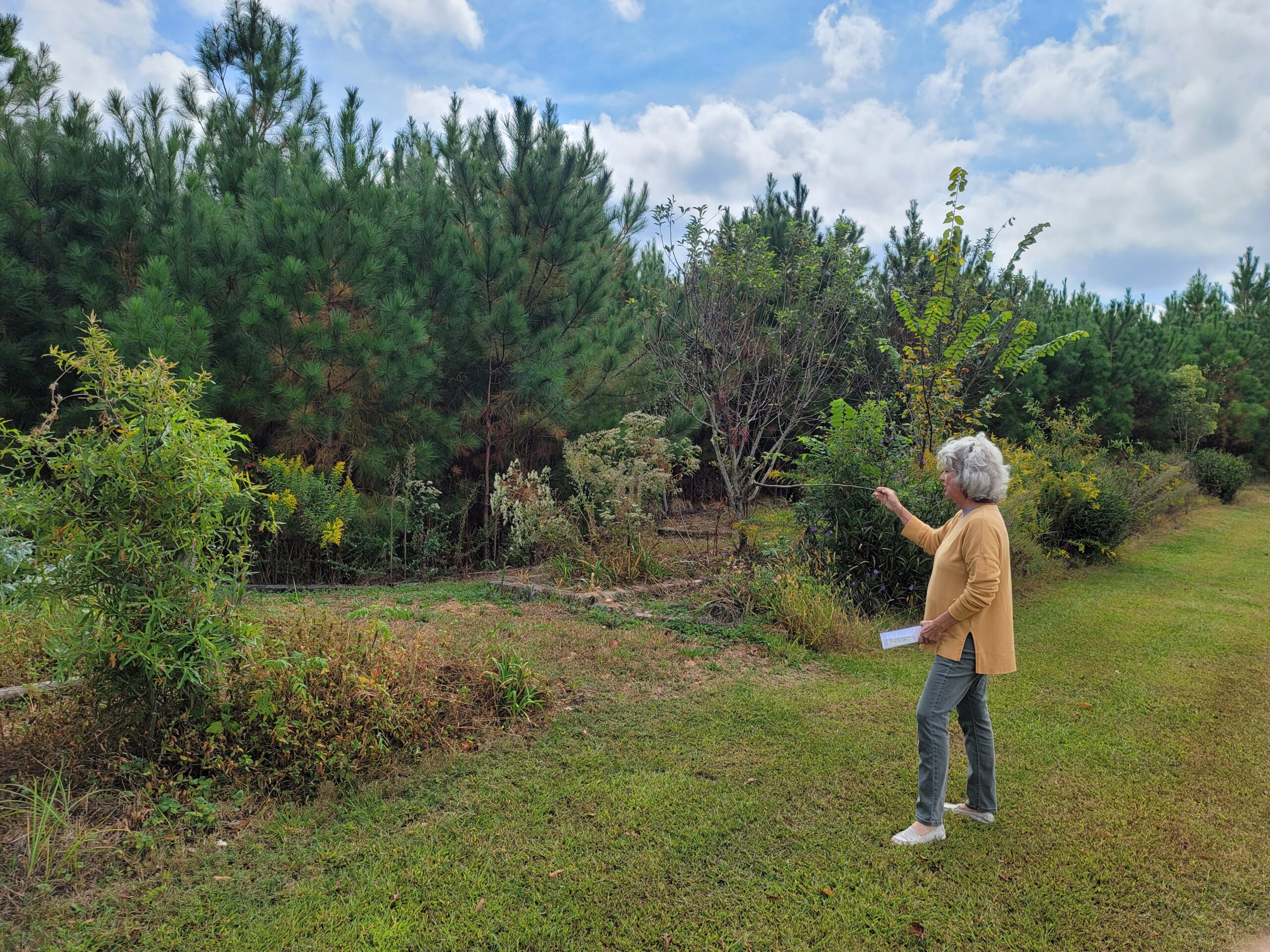 A woman in a peach colored top gestures with a thin long stick, pointing at a variety of trees and shrubs.