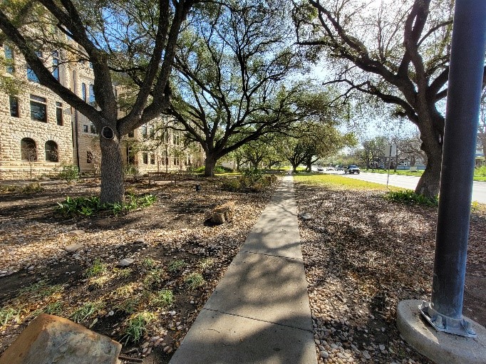 A sidewalk runs down the center of the photo, Live Oak trees line the walk. A stone building is on the left.