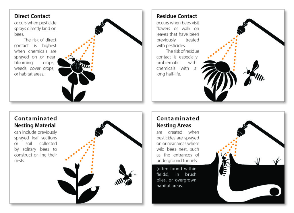 SImple black and white graphic of flowers, bees, and soil being sprayed by pesticides. 