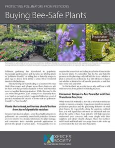 Screenshot of a handout with gray title bar at the top, three small photos, and black text on a white background.