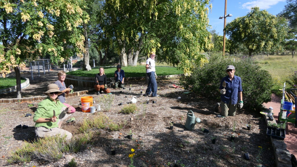 Six smiling gardeners kneel and stand in a very large raised garden bed. Five hold up hand tools. In the background are cream-blooming trees and grassy areas.