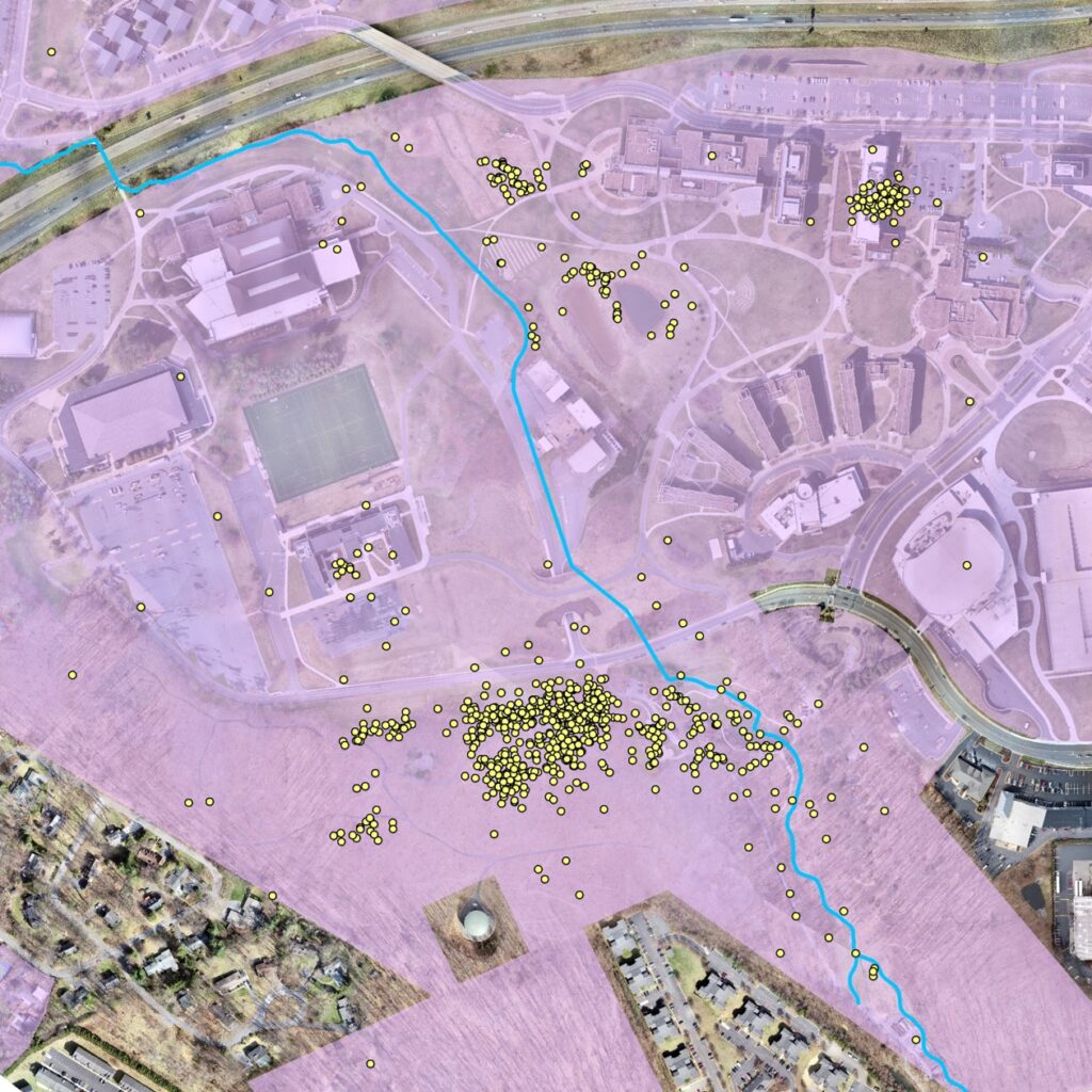 An aerial photo of a university campus with buildings and green spaces, overlaid by large pink translucent patches, with numerous yellow dots. There is an overlaid teal squiggly line that looks like a waterway runs from the top left to the bottom right.