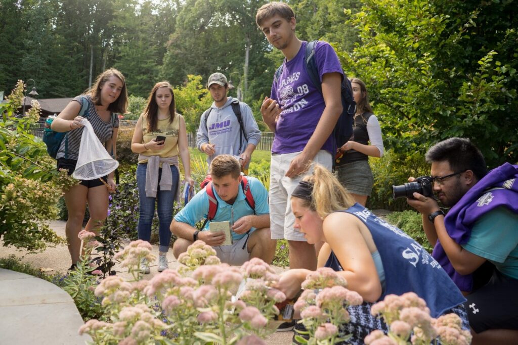 Eight college students stand and crouch looking down toward light pink flowers. One holds an aerial net, another a notebook, another a camera.