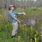 A person in green and tan stands in a bog gesturing towards green pitcher plants.