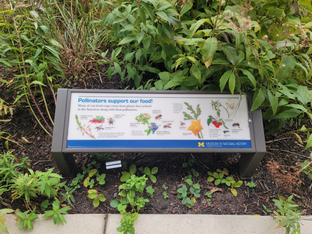 An outdoor interpretive sign with text and flowers, surrounded by green plants.