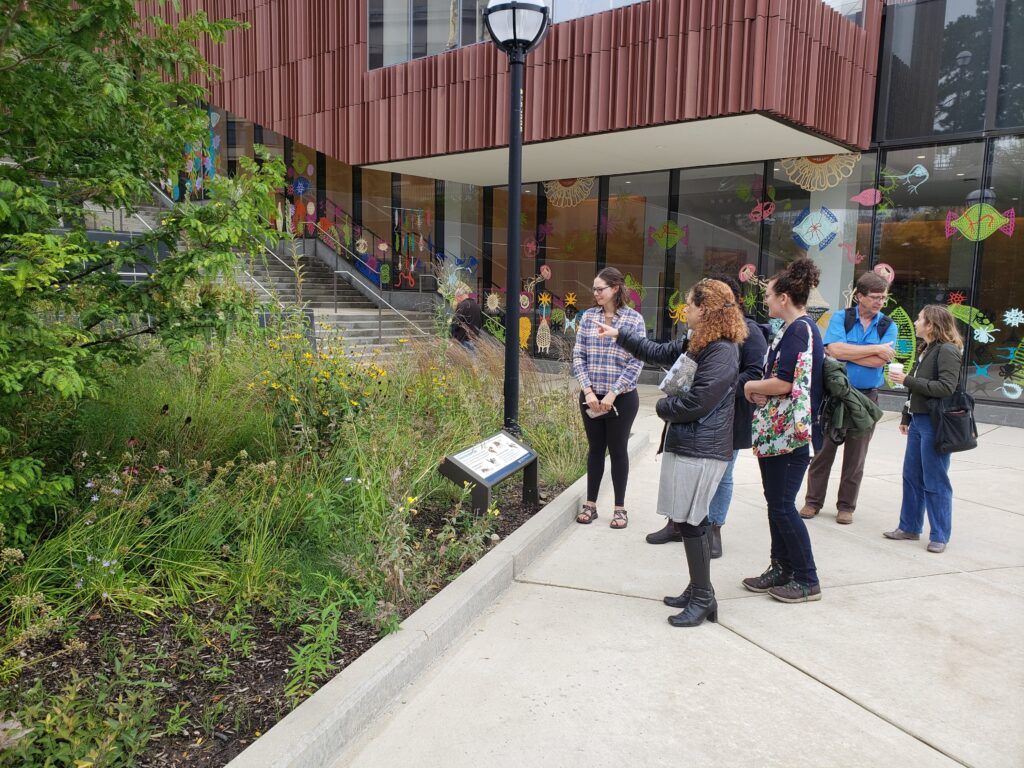 A group of people stand next to a green pollinator garden with purple and yellow flowers, a building with colorful decals is in the background.