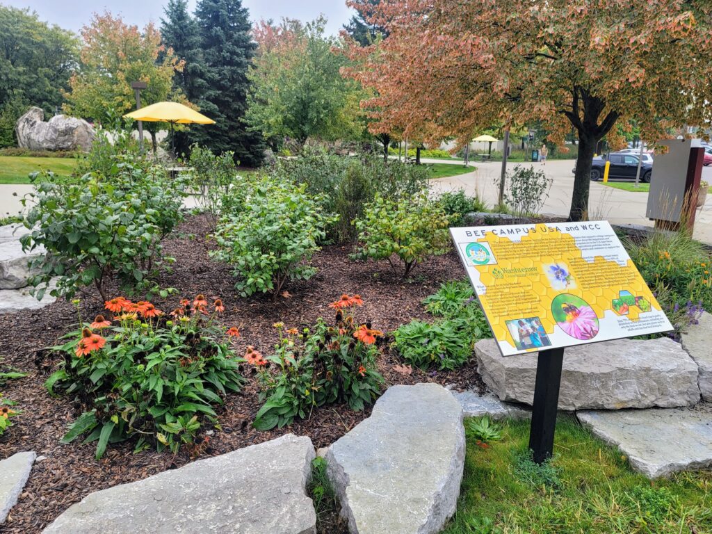 A garden with large rocks and habitat sign.