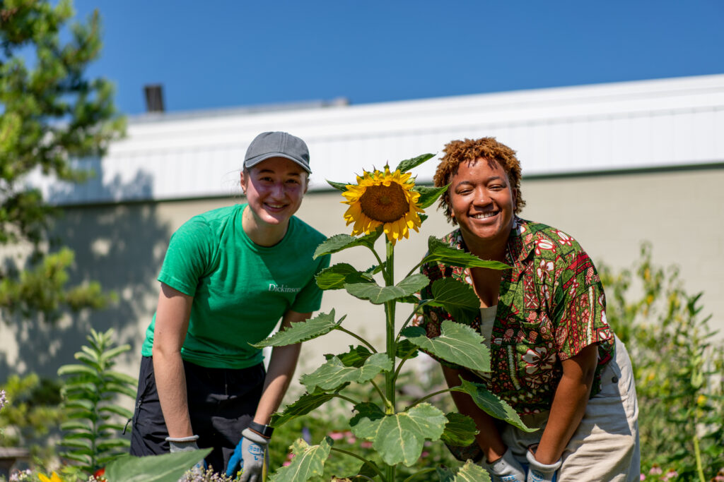 Two people lean forward to smile at the camera, in a sunny garden with a yellow sunflower between them.