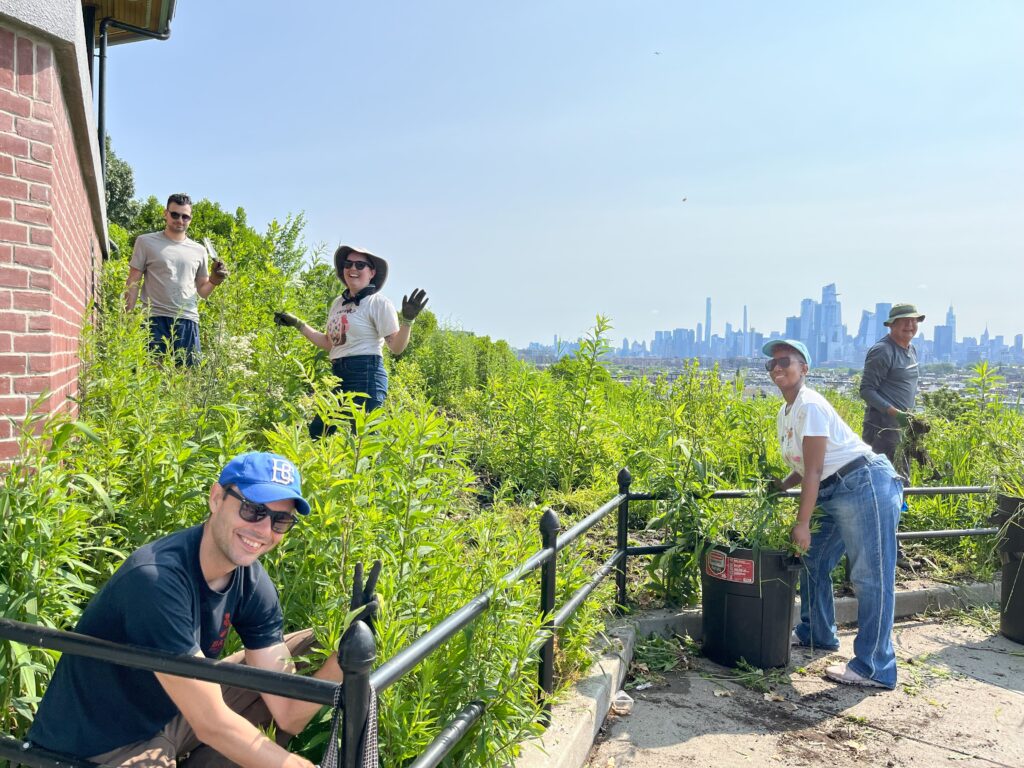 Five people, mostly in t-shirts hats, and sunglasses, stand and sit in a brilliantly green meadow-y spot on a hill on a sunny day. A city skyline is in the background.