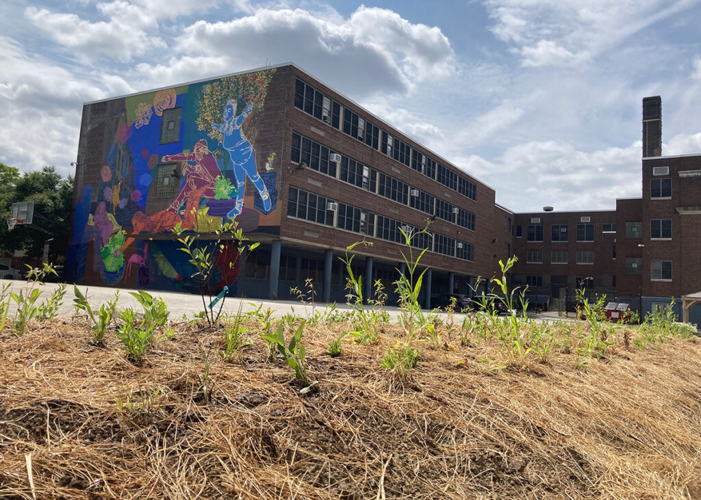 A raised, mulched garden bed with small plants is in the foreground, with another shot of the brick building at a different angle than the previous photo, showing a very large colorful mural against a bright but cloudy sky.