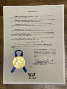 A photo of a paper with a blue ribbon and a gold sticker.