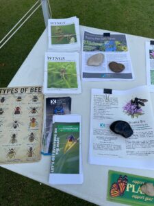 A variety of invertebrate-related paper handouts on a white table.