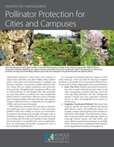 Picture of a publication with small photos.
