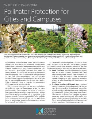 Picture of a publication with small photos.