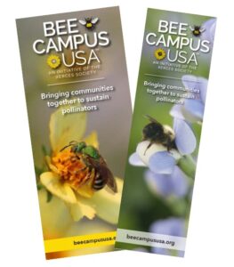 An image of a bookmark and brochure