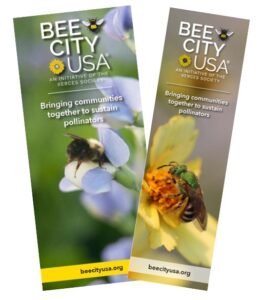 An image of a bookmark and brochure