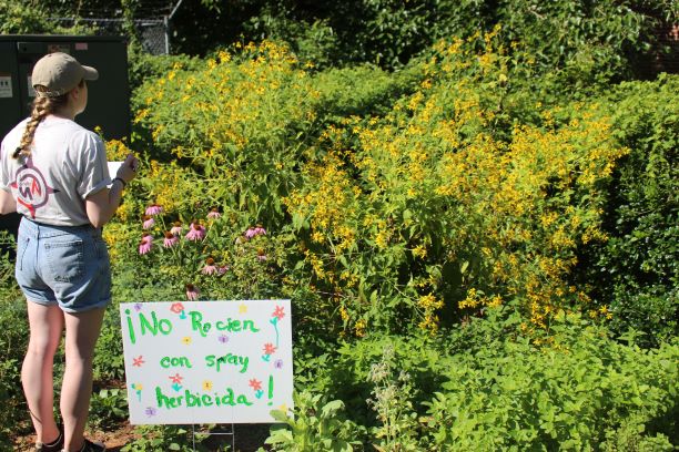 A person looks towards plants next to a handmade yard sign.