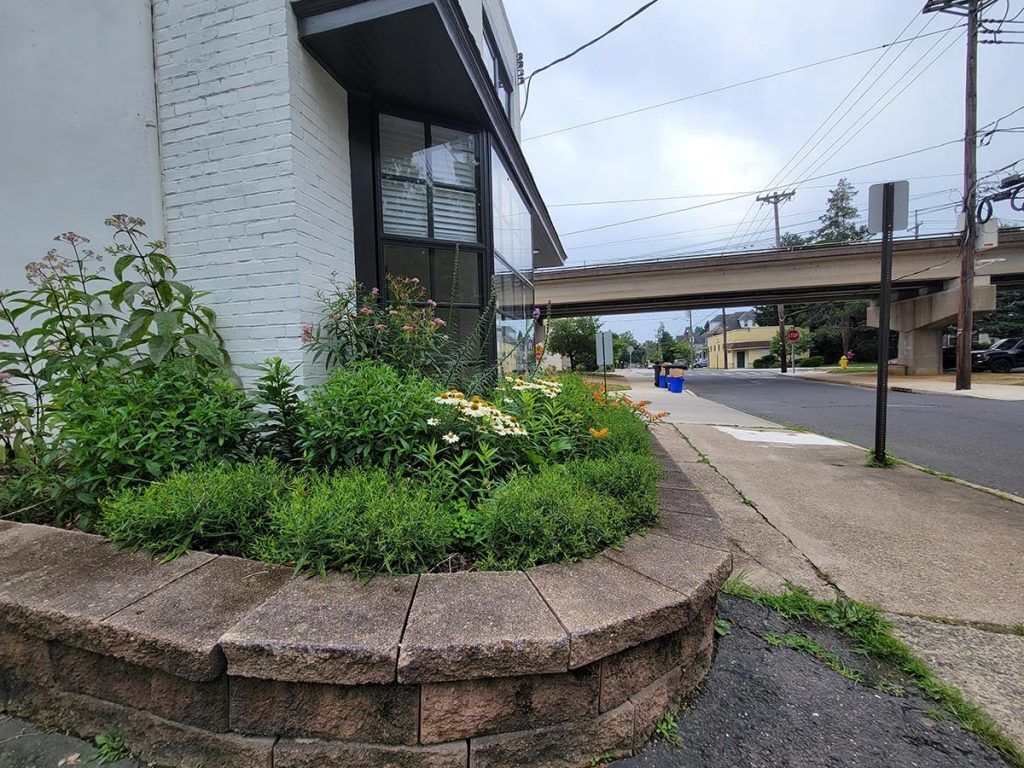 A raised garden bed with green plants next to a white building and a road.