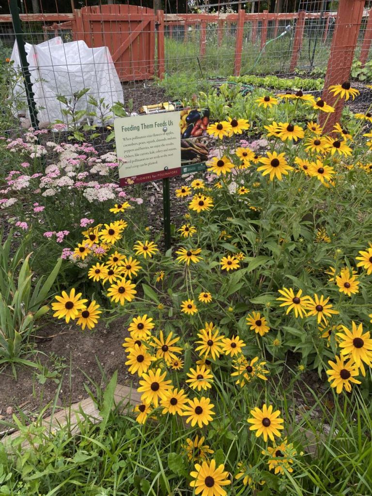 A small garden sign surrounded by yellow flowers.