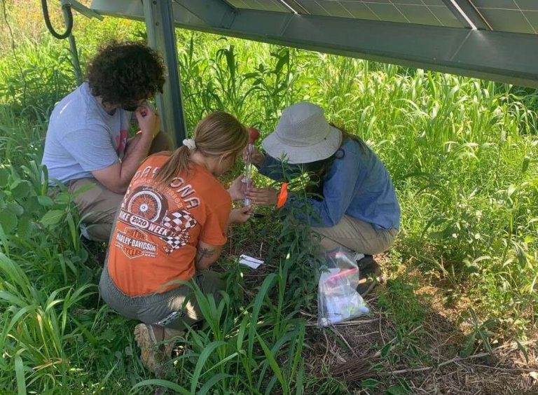 Three people crouch beneath a solar panel with green plants around them.