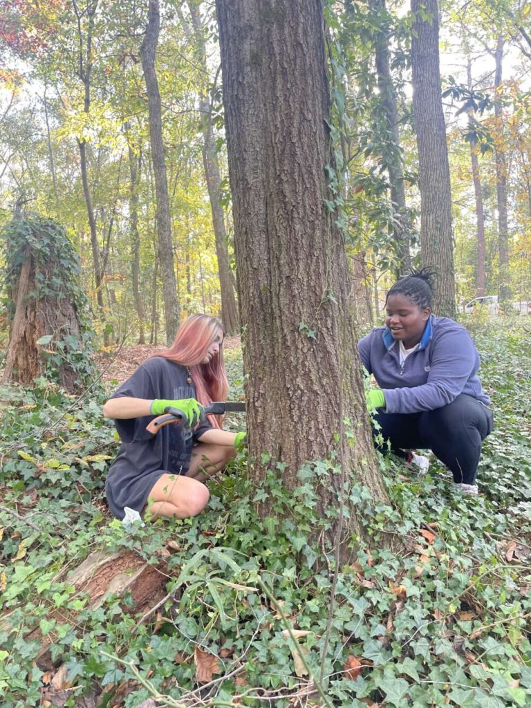 Two people crouch at the base of a large tree trunk surrounded by ivy vines.