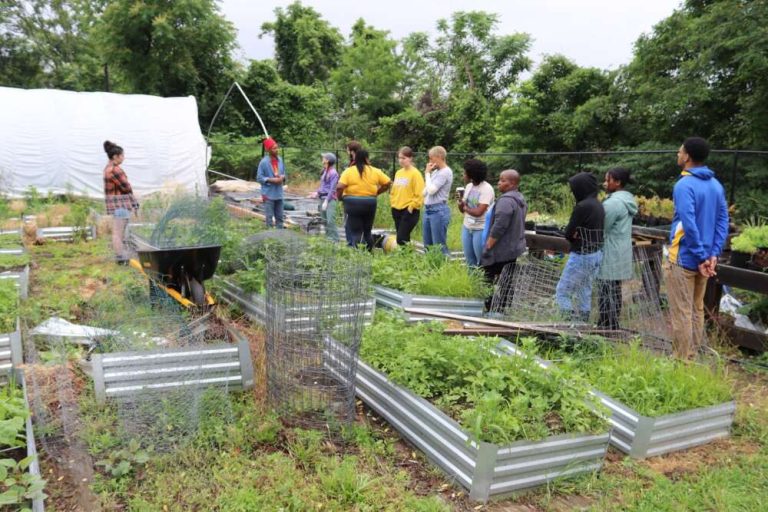 A group of about a dozen people stand around a garden with metal raised garden beds and a white greenhouse.