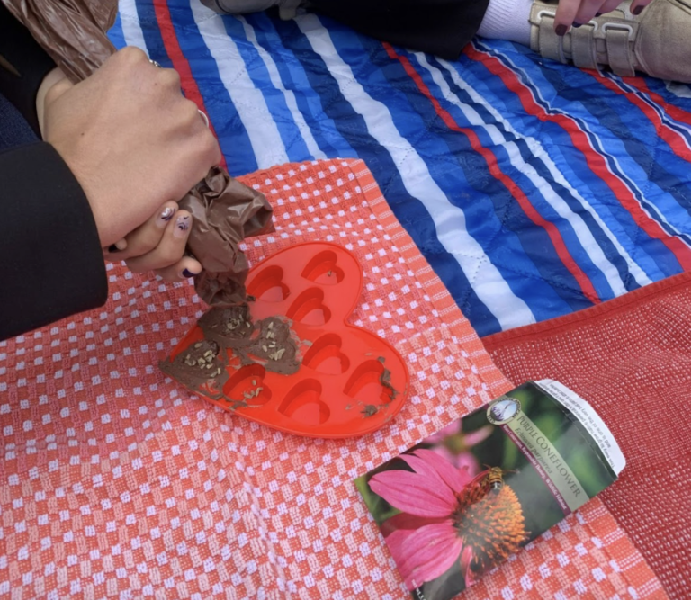 A close-up of someone piping mud into heart-shaped molds, with a seed pack nearby.