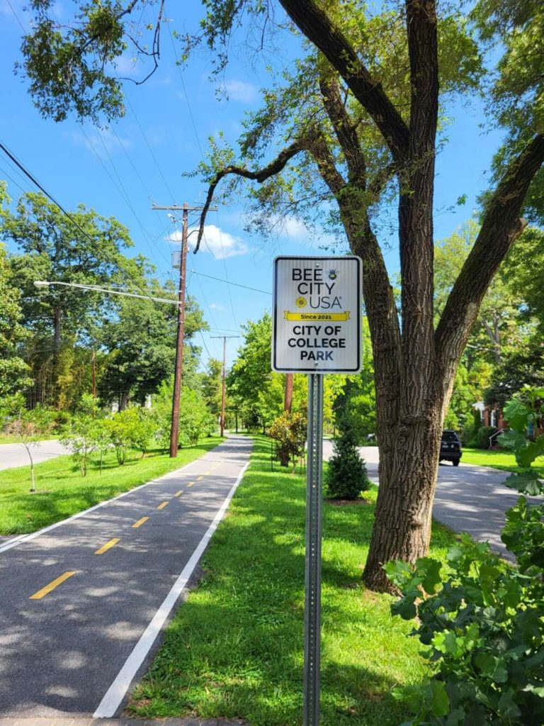 A white, black, and yellow street sign on a narrow paved path surrounded by bright green plants on a very sunny day.