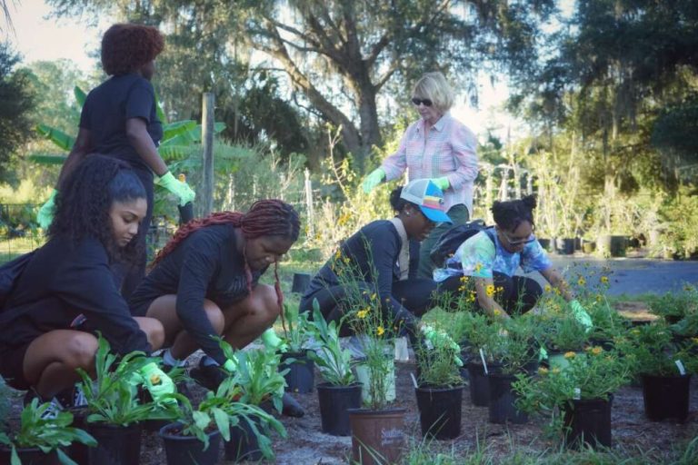 Six people walk and crouch around pots of green plants with trees in the background.
