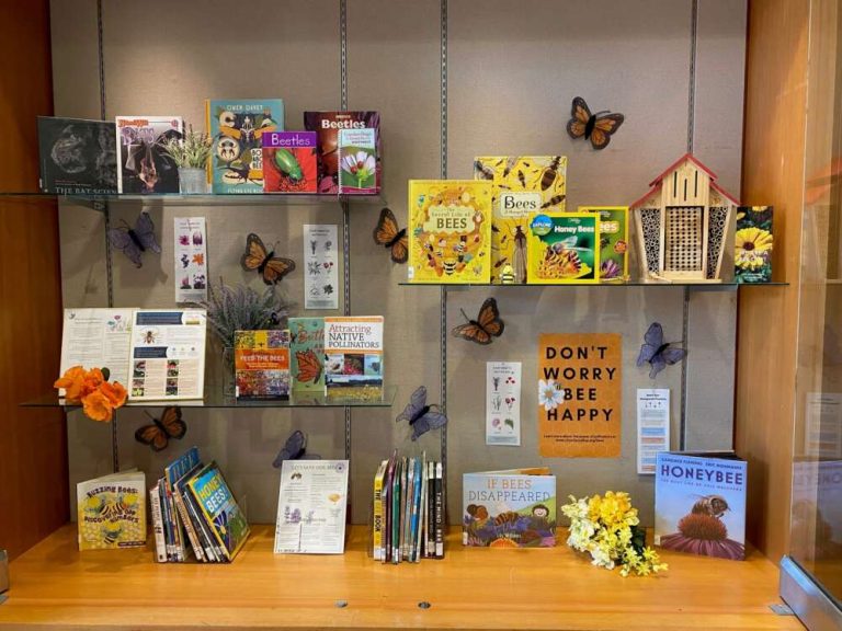 A display case with shelves of mostly books.