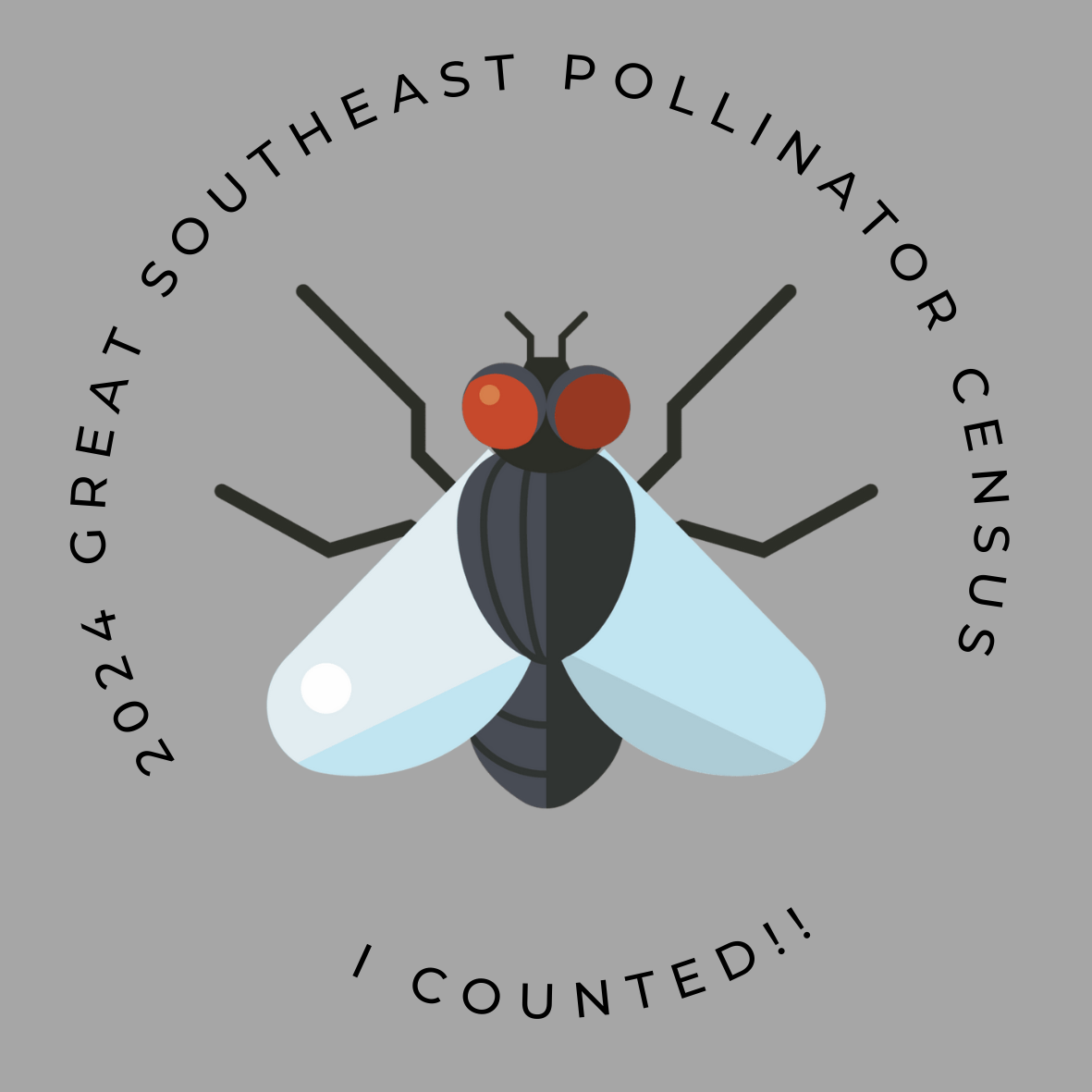 An illustration of a fly drawing, with text.