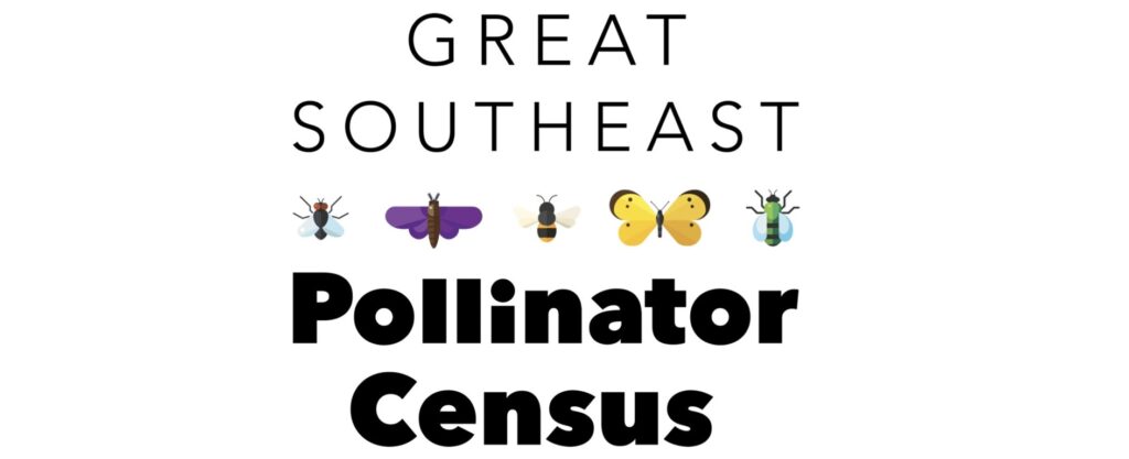 Black text on a white background with colorful illustrations of bugs