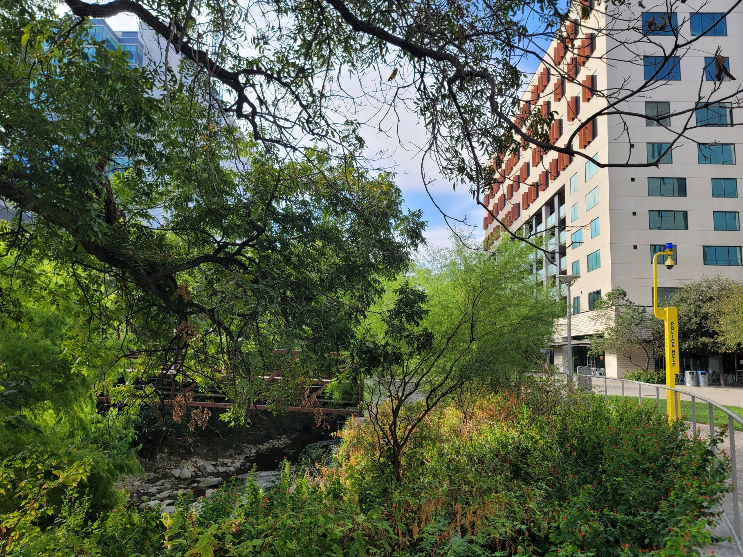 A verdant natural area next to a a tall building.