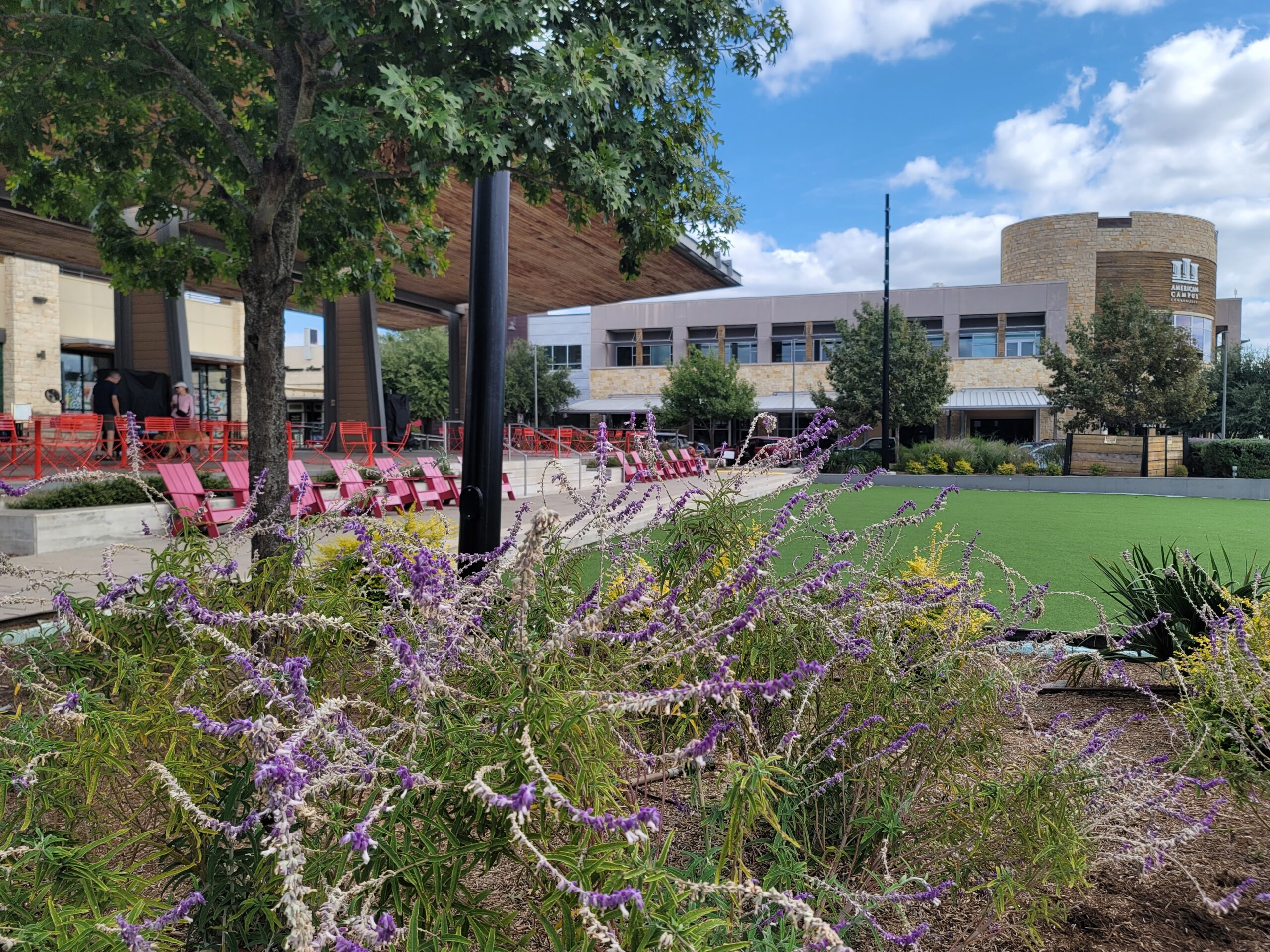 Purple plants with trees and a green lawn, with red lawn chairs.