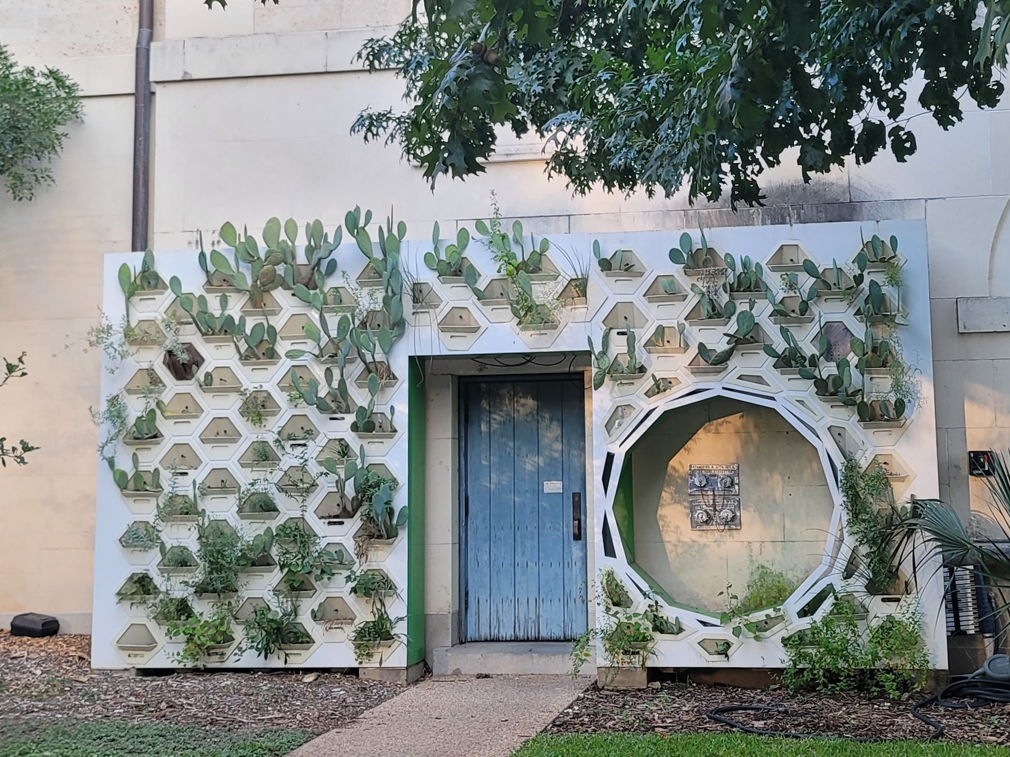 A wall planted with green plants in small containers.