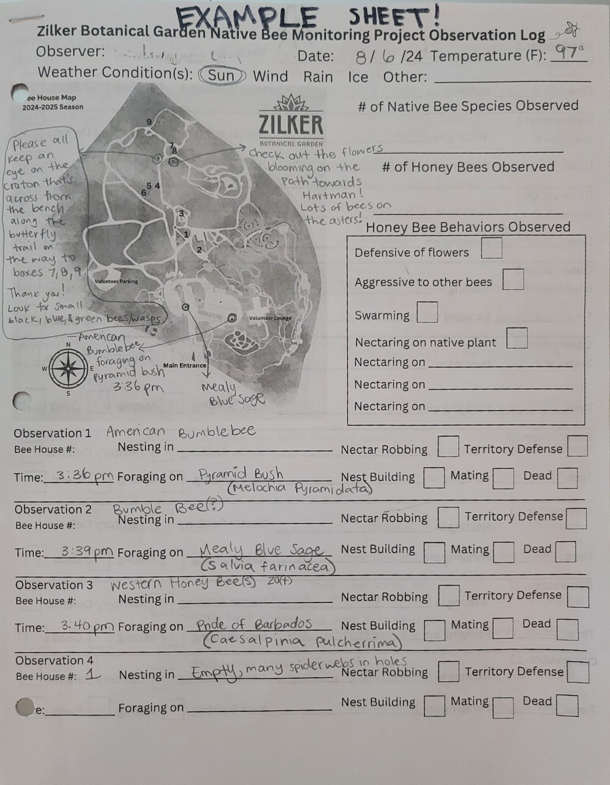 A paper with a map and handwritten answers.