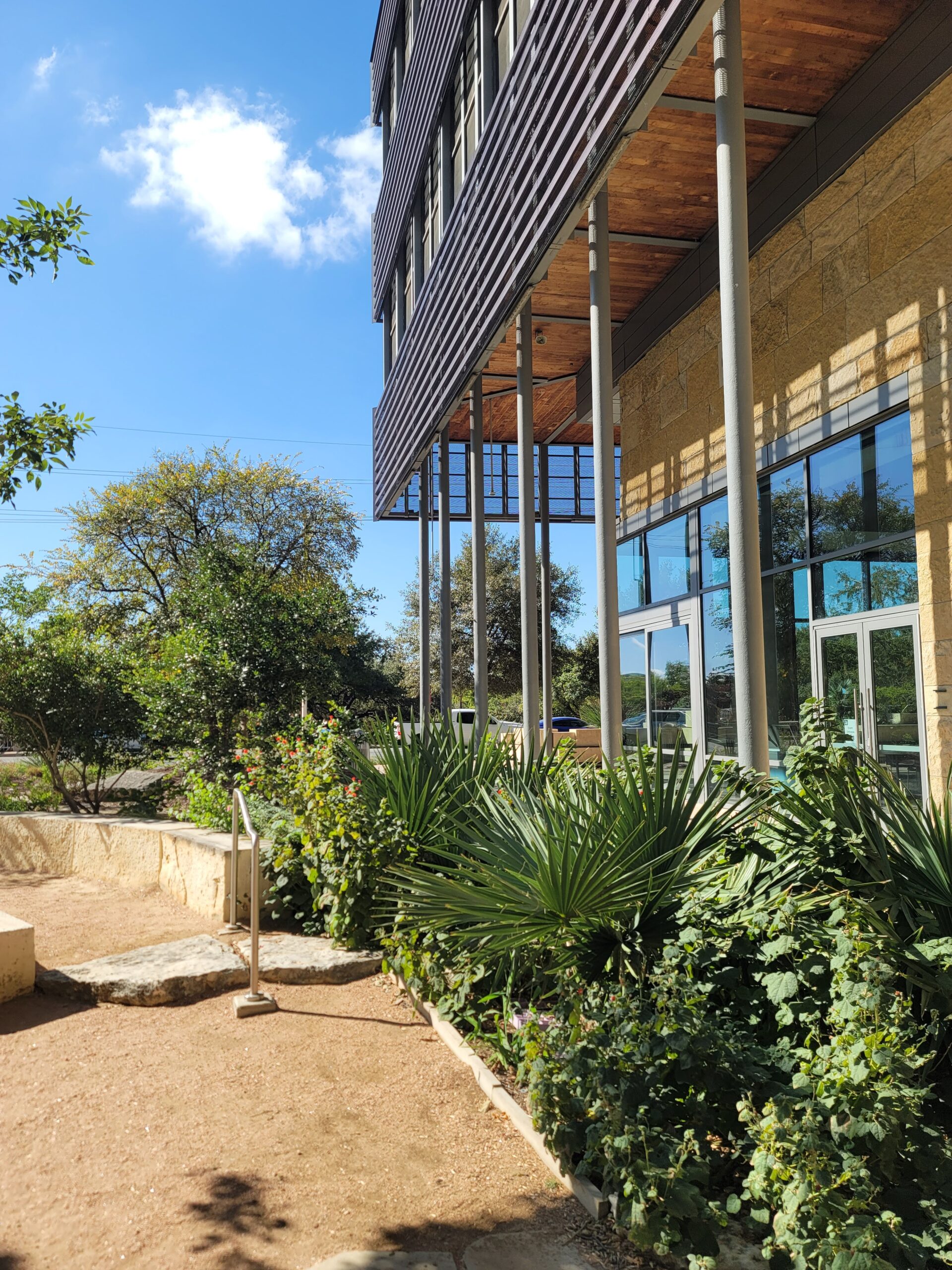 An outdoor area with green plants next to a tall building.