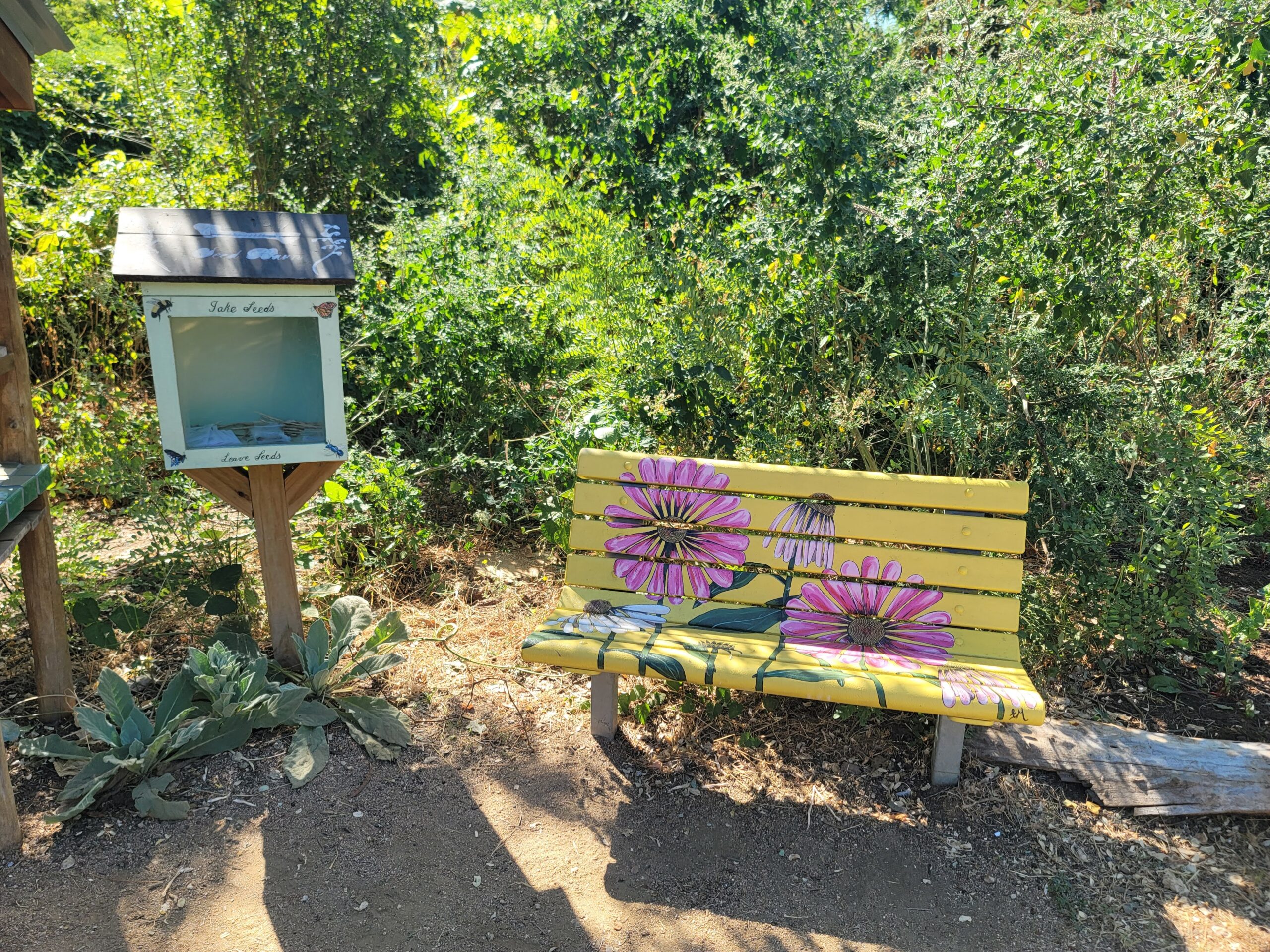 A painted outdoor bench and small glass-fronted cupboard in front of green plants.