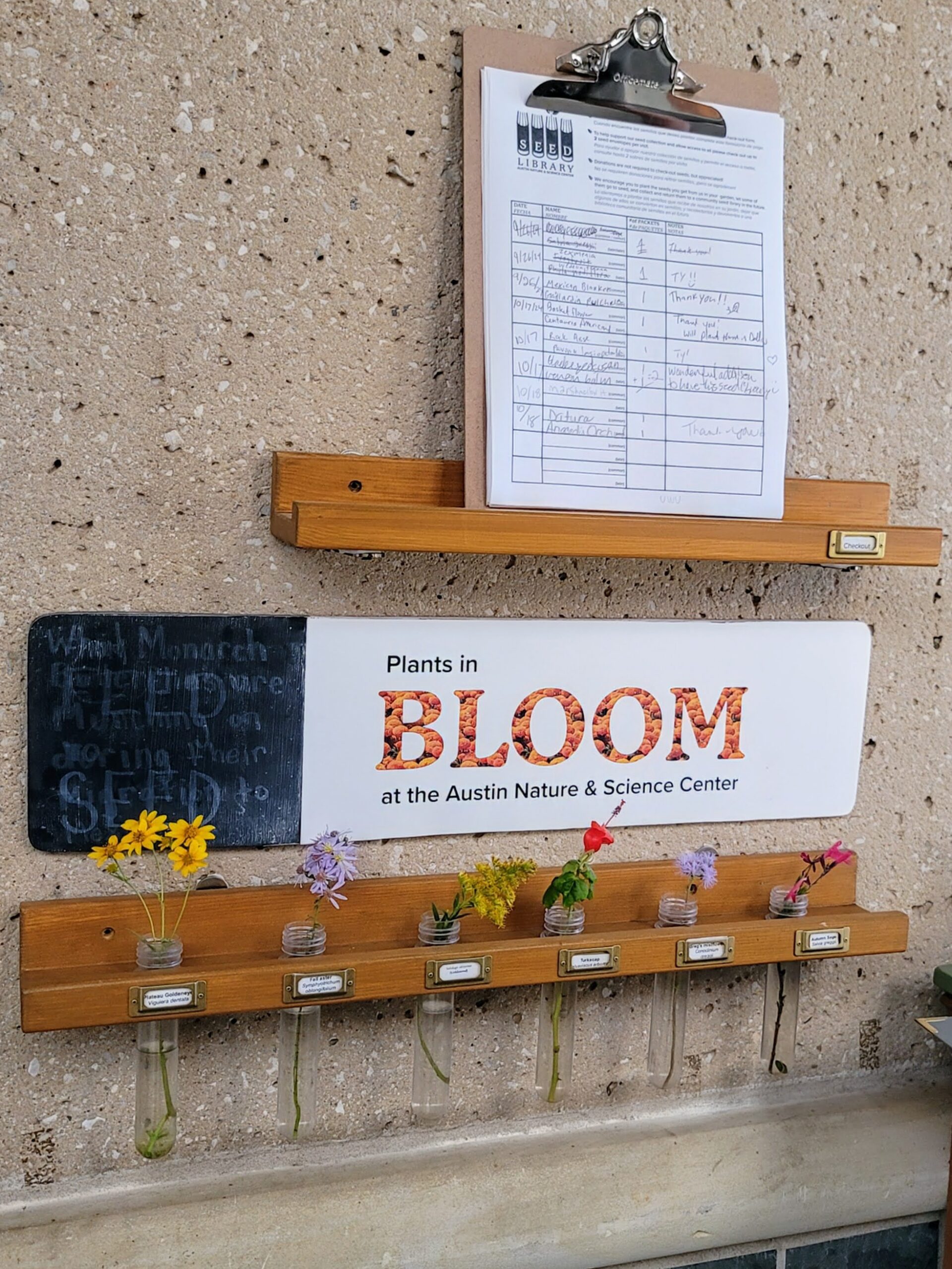 A wall with small vases with flowers.