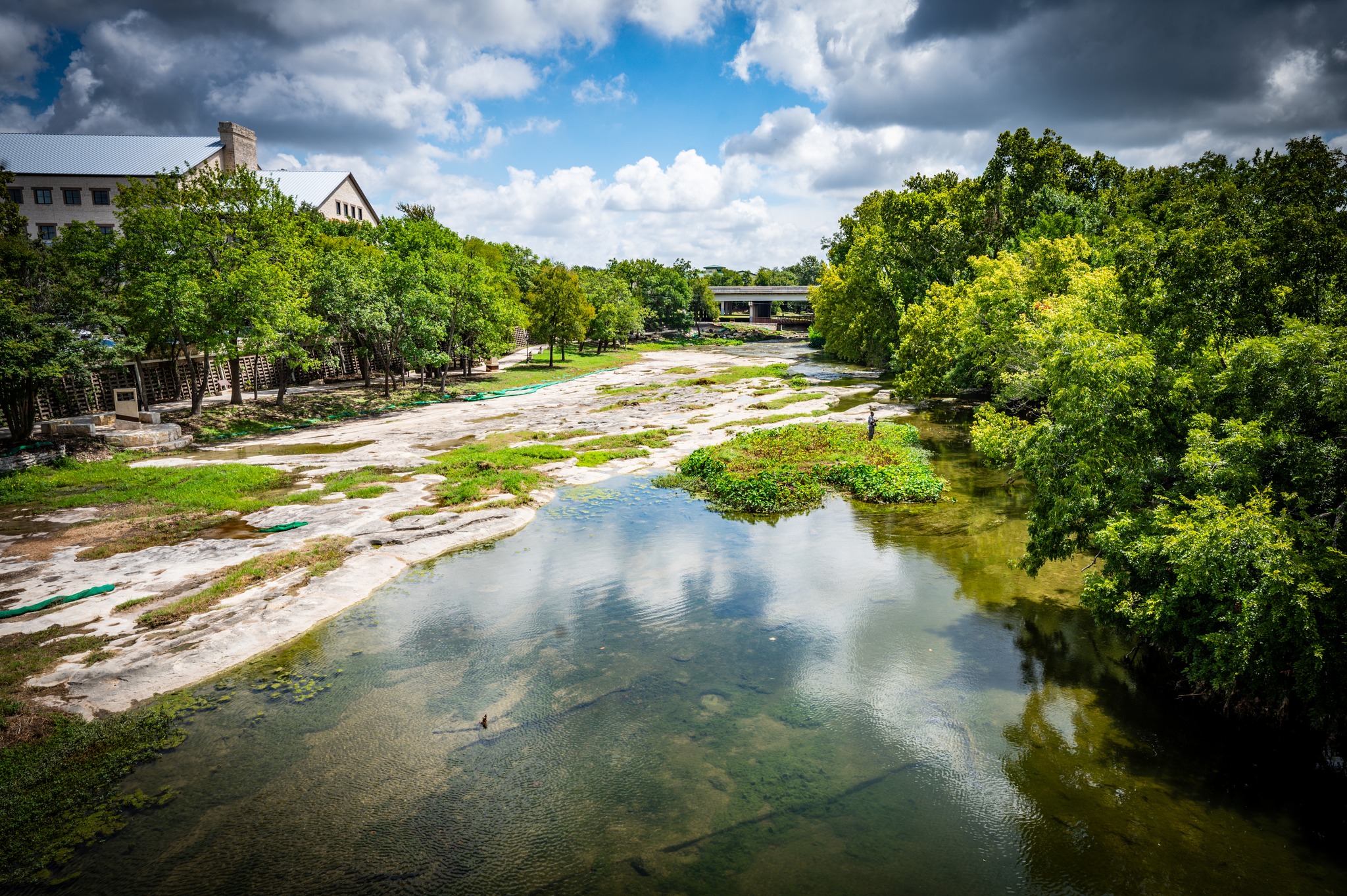 Bee City USA Visits Texas: Round Rock and Bee Cave - Bee City USA