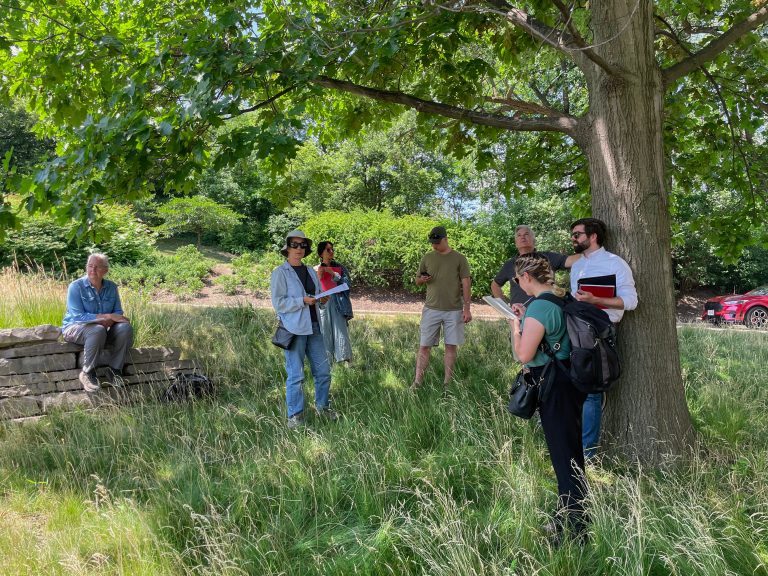 Bee Campus Committee convening in tall grasses beneath a green oak tree