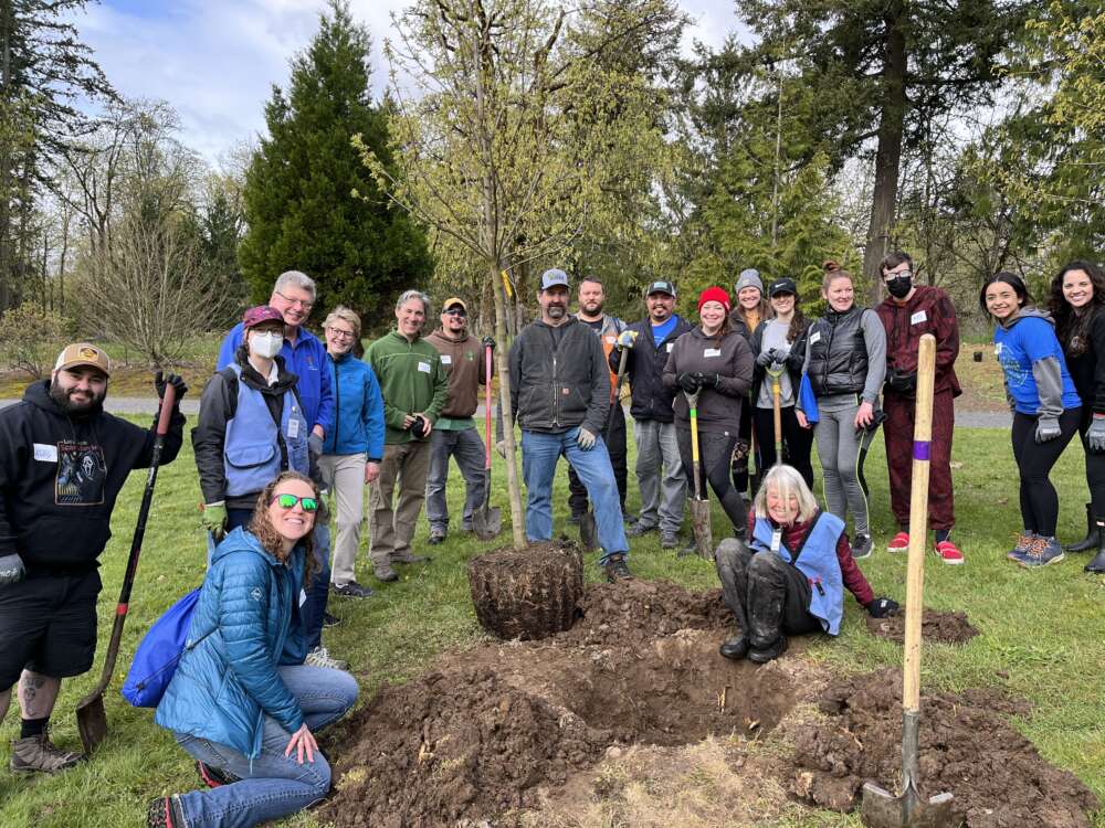 A group of around 20 people in warm clothes holding shovels pose around a tree.