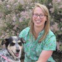 Picture of a smiling person in green shirt with a dog.