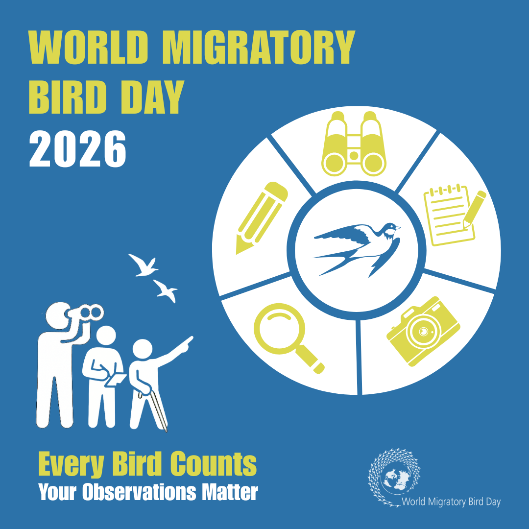World-Migratory-Bird-Day-2026-Theme-Announcement-Graphic-all-languages